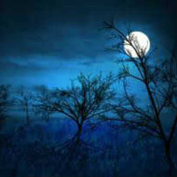 Midnight