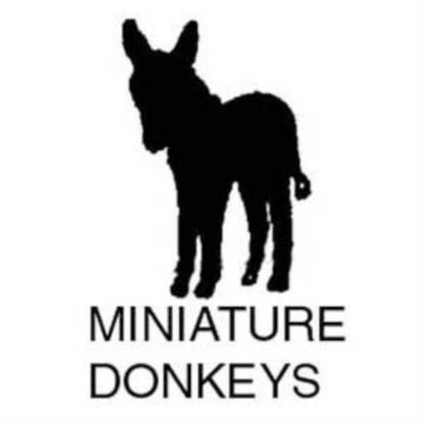 Minature Donkeyz (Dubstep)