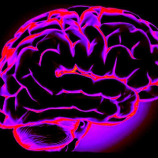 Mind Alter