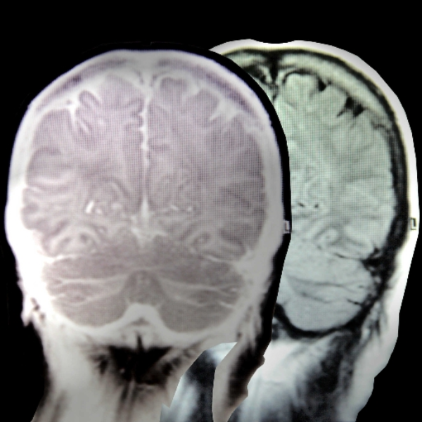 Mind Mechanics