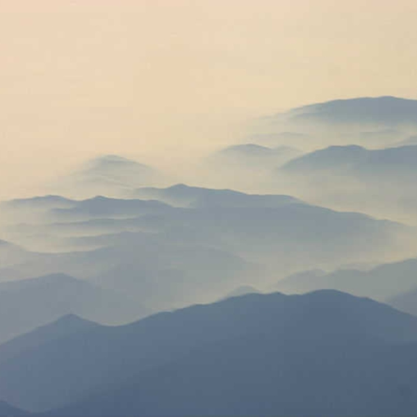 Mist