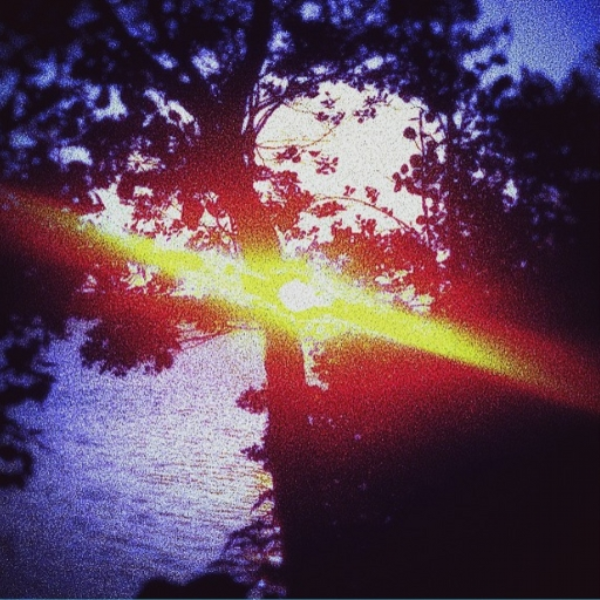 Midnight Sun