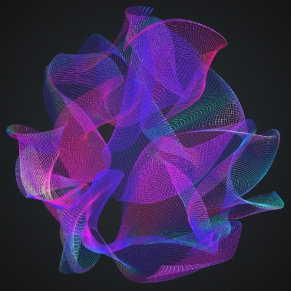 Holograms