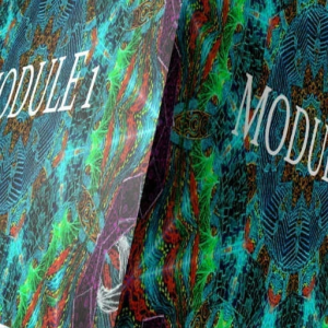 Module 1
