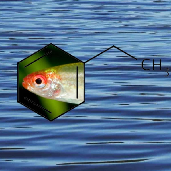 Fish-Shaped Ethylbenzene