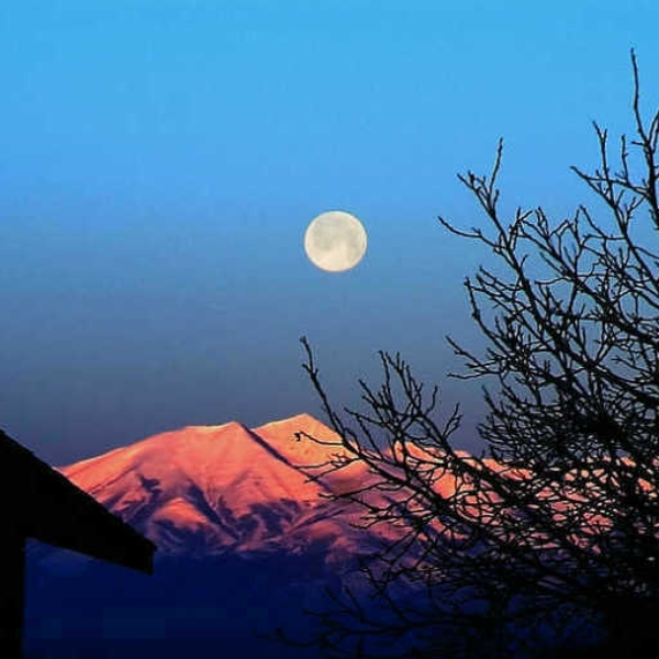 MOON