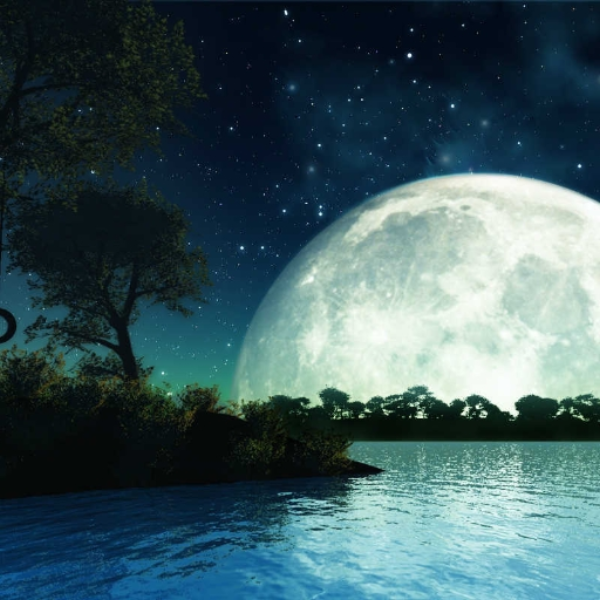 moon light