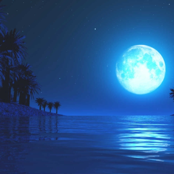 Moonlight
