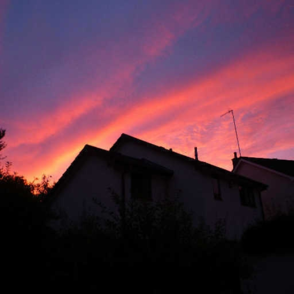 Morning Rise