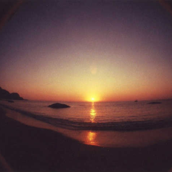 Morning Sunshine