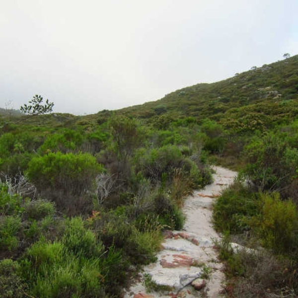 mountain pass