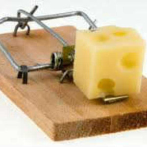Mouse Trap