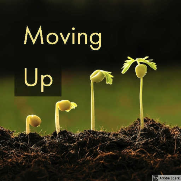 Moving Up