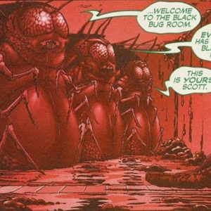 Black Bug Room