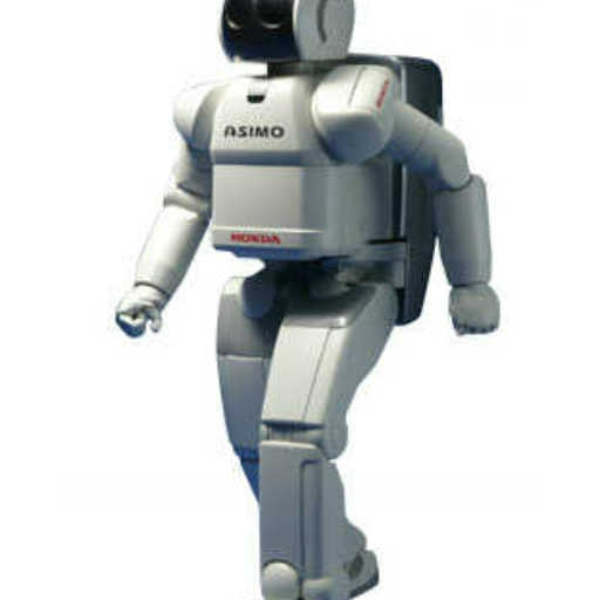Mr. Robo