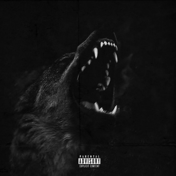 !!!WOLF!!!