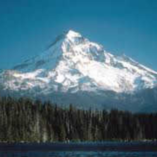 Mt. Hood View