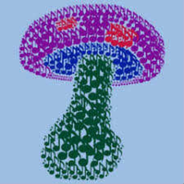 Music Mushroom