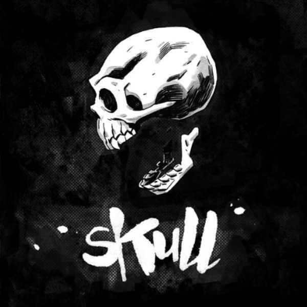 My Collection of Skulls