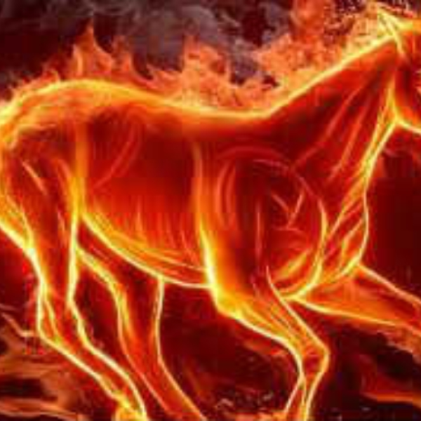 My Horse