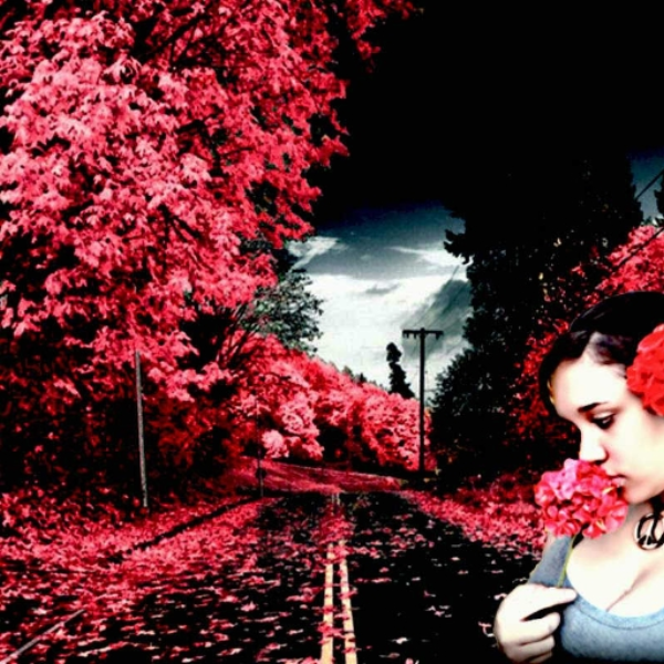 My illusion, My mistake