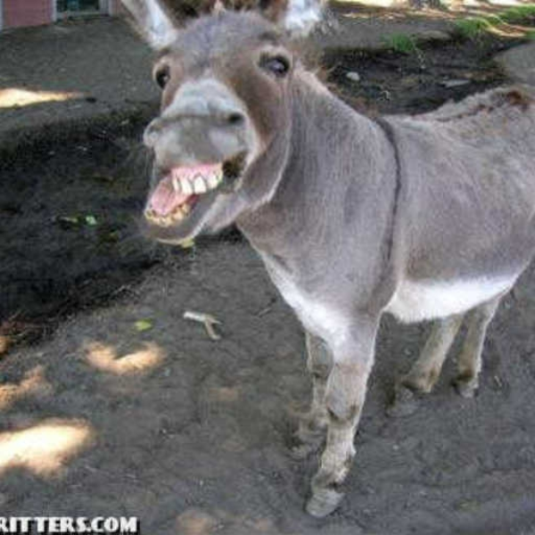 My Mate Bruce!:)