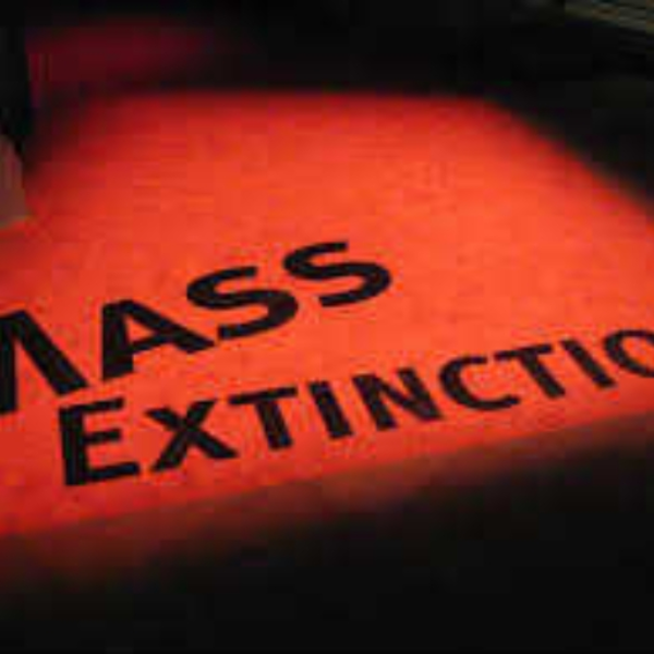 my name is Extinction