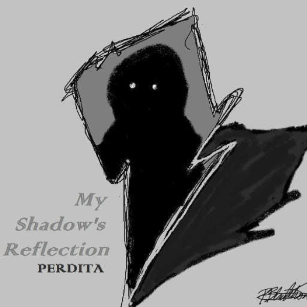 My Shadow's Reflection