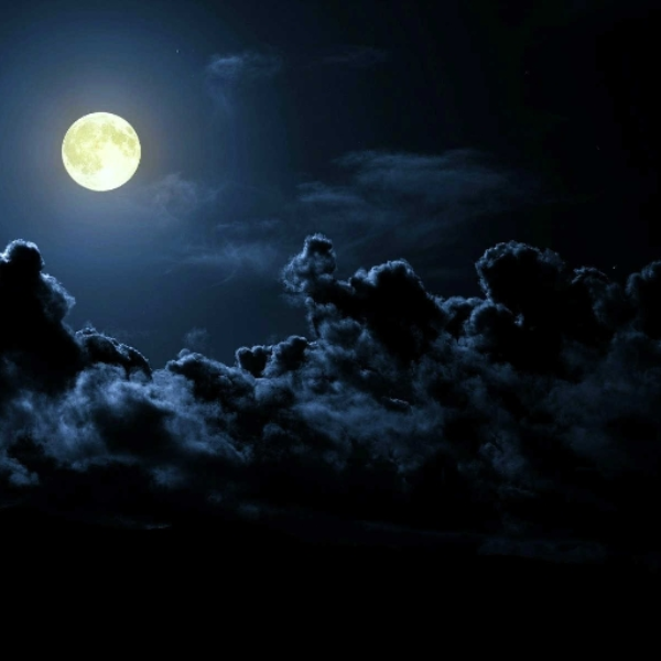 N1ght