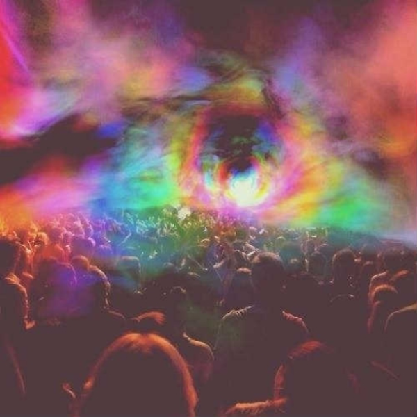 N I G H T S H O W **