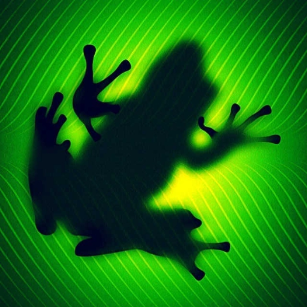 Natural Amphibi