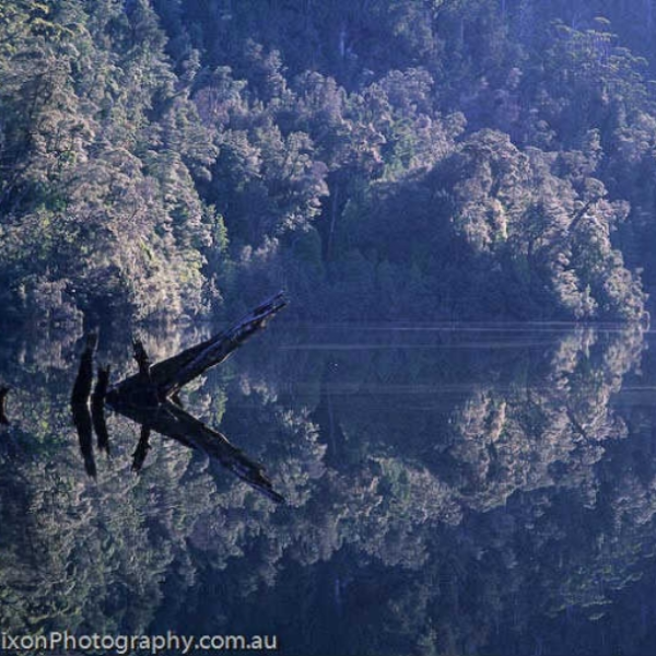 Natural Reflection