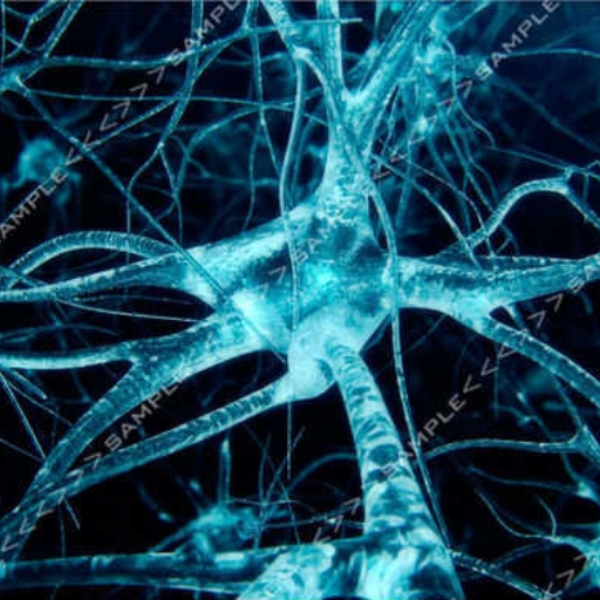 Neuro DnB