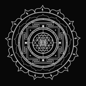 new_proj_80_cnd
