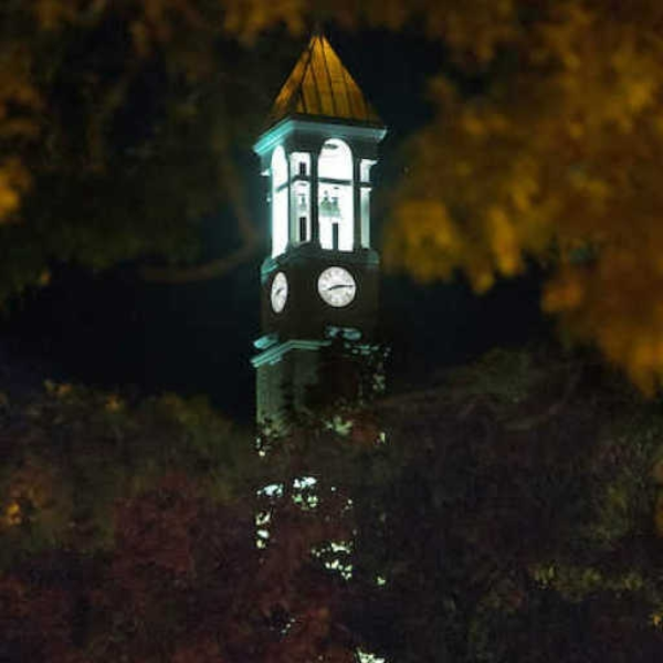 Night of the Bells