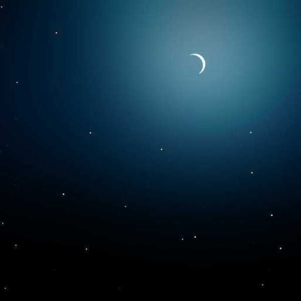 Night Sky