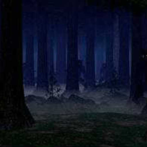 Night Stalker