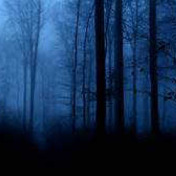 nightfall