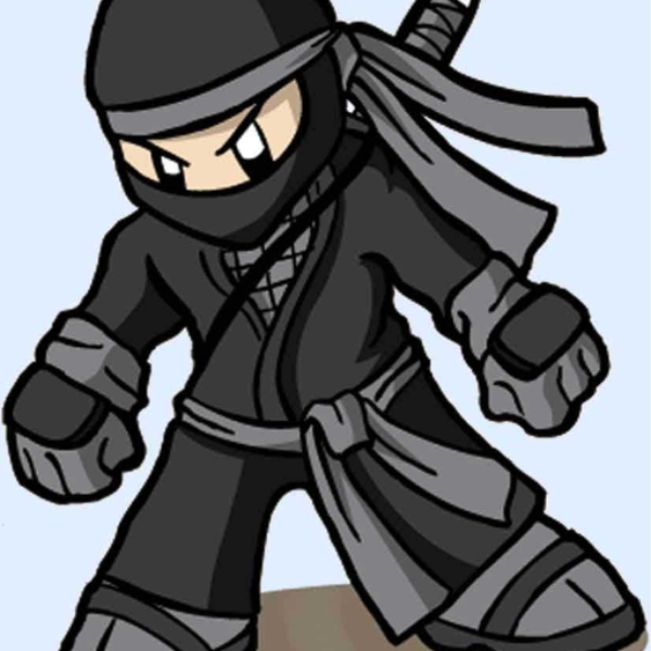 Ninja