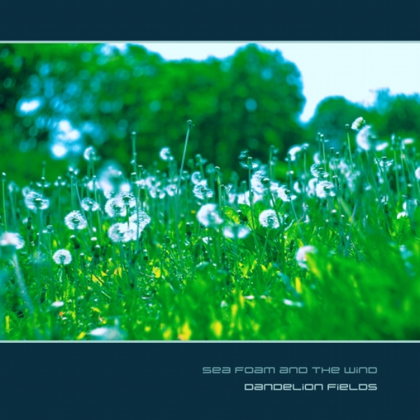 dandelion fields