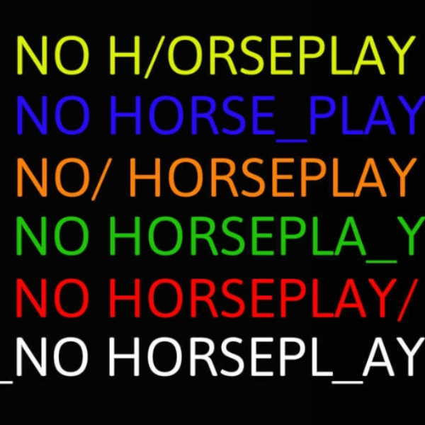 No Horseplay #2