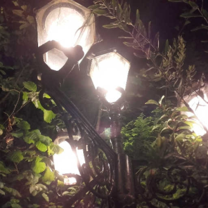 nocturn
