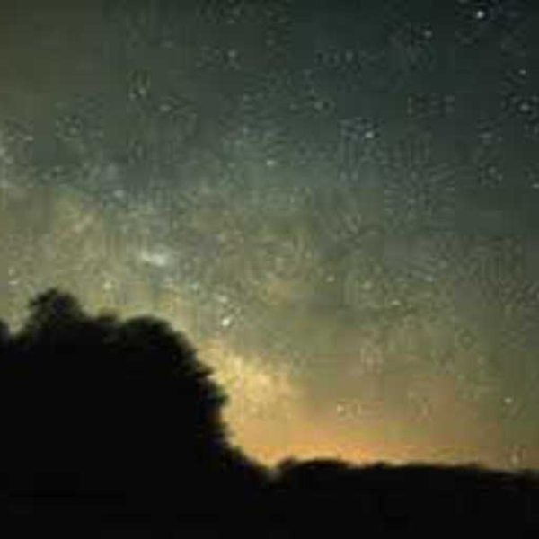 Nocturnal Sound