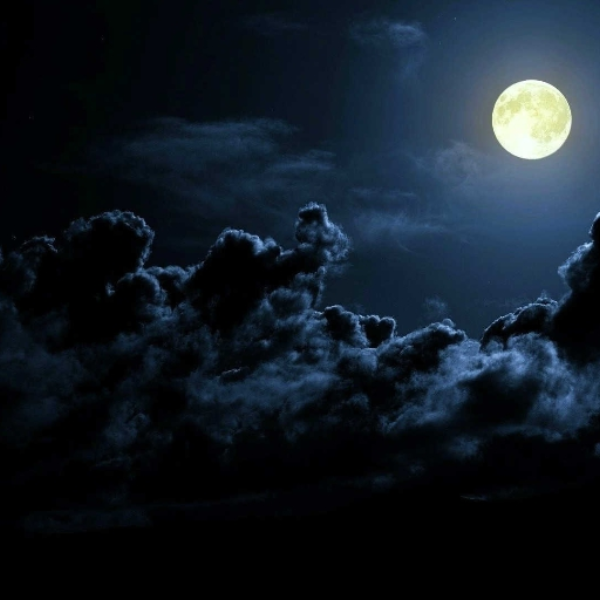Nocturnalwolf