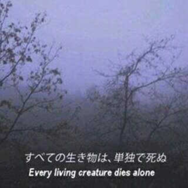 nofeeling