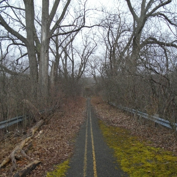 noise paths
