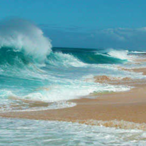 North Shore