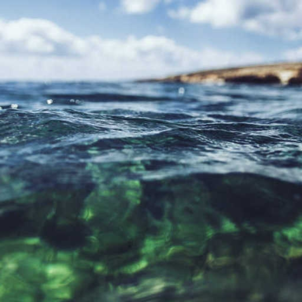 Nostalgia Waves