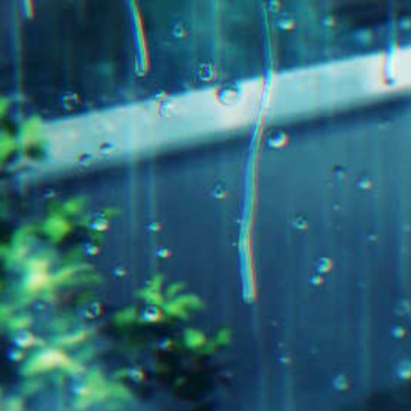 Novembre//loops 3