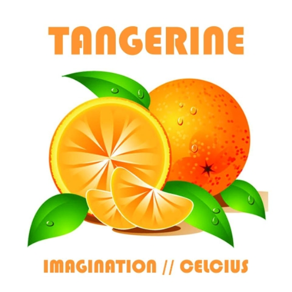 Tangerine (Celcius and Jordo Martise Collab)